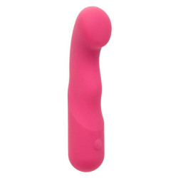 Calexotics - Pixies Curvy Rose